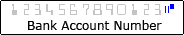 typical account number format